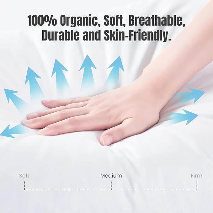 Vantage Pillow Amazon 03